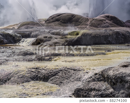 Pohutu Geyser,蒂普亞,新西蘭 Pohutu Geyser,蒂普亞,新西蘭 88274100