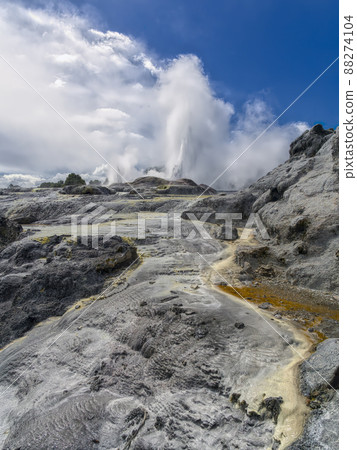 Pohutu Geyser, Te Puia, NZ Pohutu Geyser, Te Puia, NZ 88274104