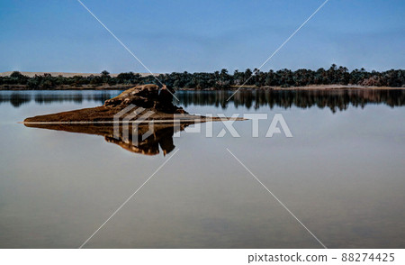Zaytun lake near Siwa oasis, Egypt Zaytun lake near Siwa oasis, Egypt 88274425