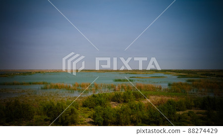 Mesopotamian Marshes, habitat of Marsh Arabs aka Madans Basra Ir 88274429