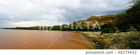 Landscape of Langano lake coastline, Oromia, Ethiopia 88274432
