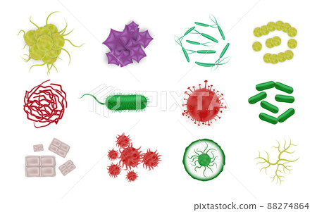 Bacteria Shapes Realistic Icons 88274864