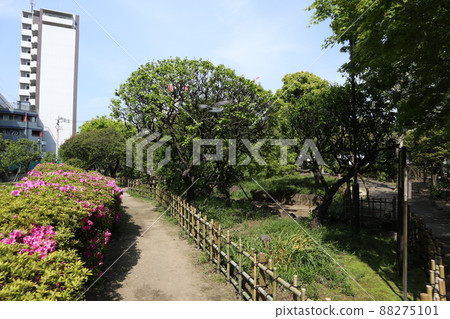 精石蒲田梅屋敷公園 88275101