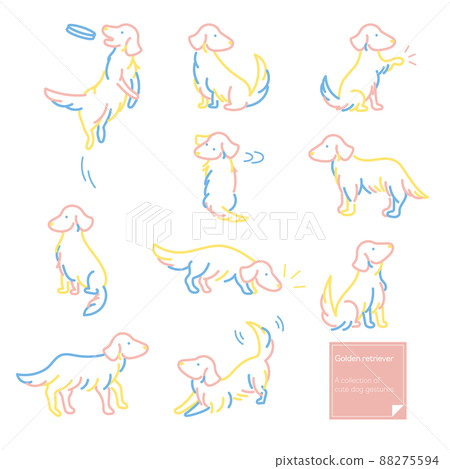 Golden retriever natural line drawing illustration Golden retriever natural line drawing illustration 88275594