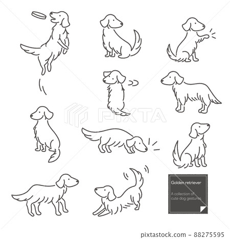 Golden retriever handwritten style illustration set 88275595