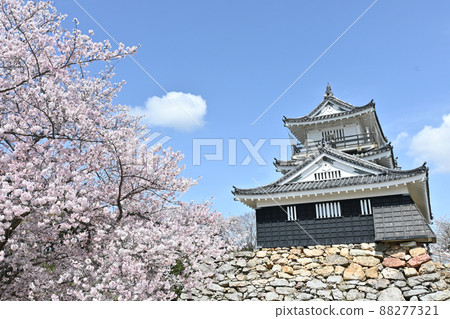 Hamamatsu Castle castle tower Hamamatsu Castle castle tower 88277321
