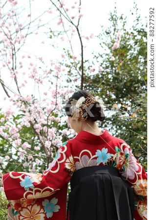 Back view of a woman in a hakama 88277592