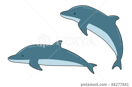海豚 88277881