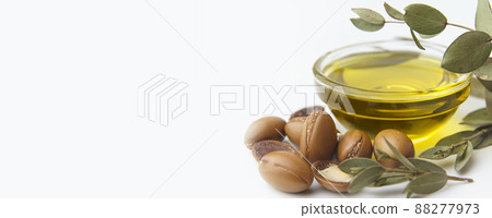 Argan seeds and oil isolated on a white background. Argan oil nuts with plant selected focus. Cosmetics and natural oils background Argan seeds and oil isolated on a white background. Argan oil nuts with plant selected focus. Cosmetics and natural oils background 88277973