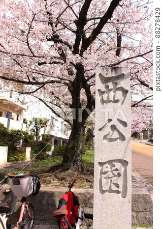 Nishi Park, Fukuoka City, Fukuoka Prefecture Nishi Park, Fukuoka City, Fukuoka Prefecture 88278429