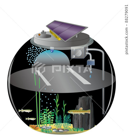 SDGS10 Medaka and Loach Night Aquarium 88279091