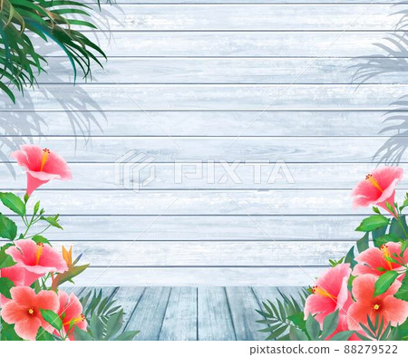 夏季圖像壁紙和背景材料與棕櫚樹葉和淺藍色木甲板上的芙蓉 88279522