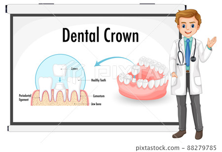 Infographic of human in dental crown Infographic of human in dental crown 88279785