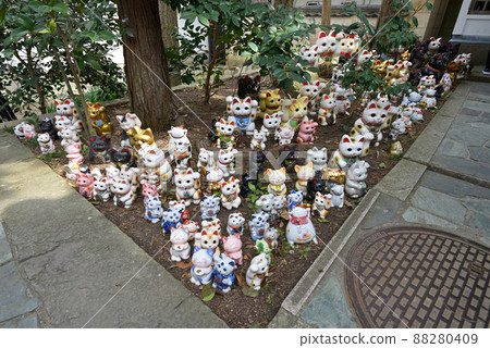 Awashima Shrine (Kada, Wakayama City, Wakayama Prefecture) 88280409