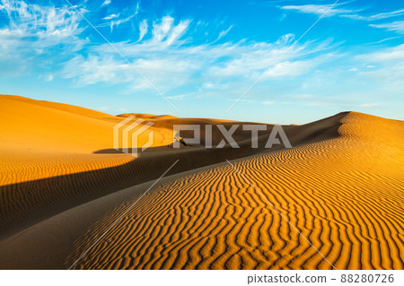 Sand dunes in desert 88280726