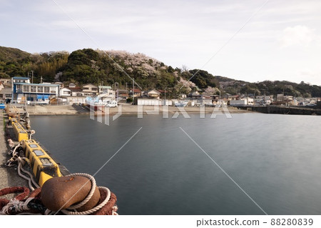 伊東海灘 88280839