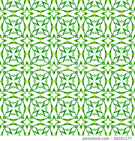 Tropical seamless pattern. Green splendid boho chic summer design. Textile ready lovely print, swimwear fabric, wallpaper, wrapping. Hand drawn tropical seamless border. Tropical seamless pattern. Green splendid boho chic summer design. Textile ready lovely print, swimwear fabric, wallpaper, wrapping. Hand drawn tropical seamless border. 88281177