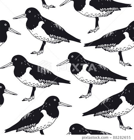 Oyster catcher seamless vector pattern Oyster catcher seamless vector pattern 88282655
