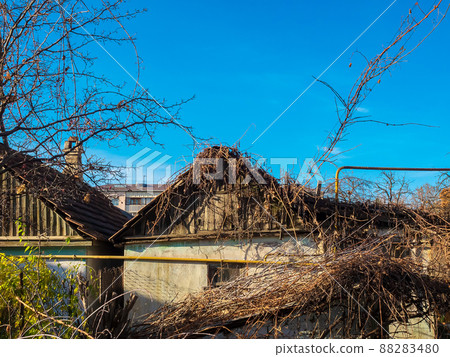Roofs of old abandoned houses overgrown with dry vines against the blue sky on an autumn day Roofs of old abandoned houses overgrown with dry vines against the blue sky on an autumn day 88283480