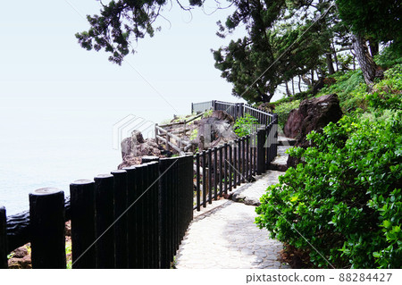 Shi崎海岸 Shi崎海岸 88284427