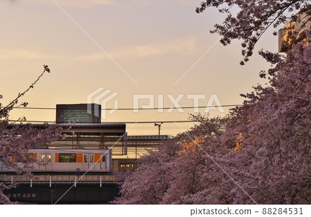 目黑川櫻花和東橫線東京 目黑川櫻花和東橫線東京 88284531