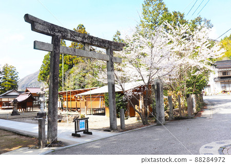"Susa Shrine Torii", Izumo City, Shimane Prefecture "Susa Shrine Torii", Izumo City, Shimane Prefecture 88284972