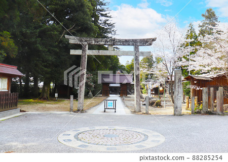 "Susa Shrine Torii", Izumo City, Shimane Prefecture "Susa Shrine Torii", Izumo City, Shimane Prefecture 88285254