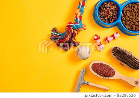 Accessories for the grooming of the dog. Combs and brushes for dogs. Top view 88285520