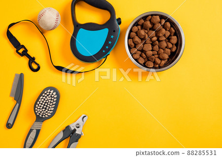 Dog accessories on yellow background. Top view. Pets and animals concept Dog accessories on yellow background. Top view. Pets and animals concept 88285531