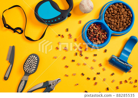 Dog accessories on yellow background. Top view. Pets and animals concept Dog accessories on yellow background. Top view. Pets and animals concept 88285535