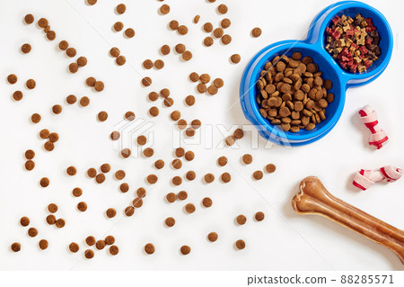 Dry pet food in bowl and bone on white background top view Dry pet food in bowl and bone on white background top view 88285571