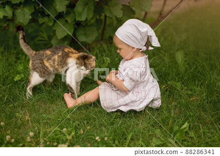 A barefoot child plays with a cat in the village near a grape bush A dirty dirty little girl in a kerchief sits on the grass. A barefoot child plays with a cat in the village near a grape bush A dirty dirty little girl in a kerchief sits on the grass. 88286341
