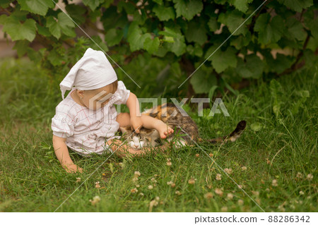 A child plays with a cat on the lawn. The girl hugs the cat tightly. A cat in the arms of a little girl. 88286342