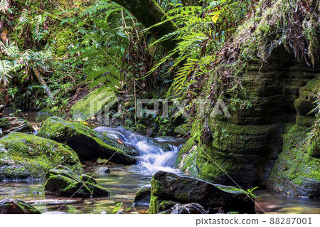 Small stream running through the mossy rocks inside the rainforest 88287001