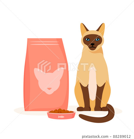 Cat food in bowl. Cat kibble in package or beg. Pet care and supplies concept. Flat style vector 88289012