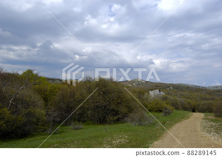 A path in a rural landscape with meadows in Crimea. Ukraine 88289145