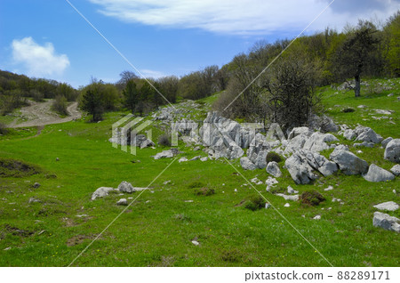 An inspiring scenic summer field landscape. An inspiring scenic summer field landscape. 88289171