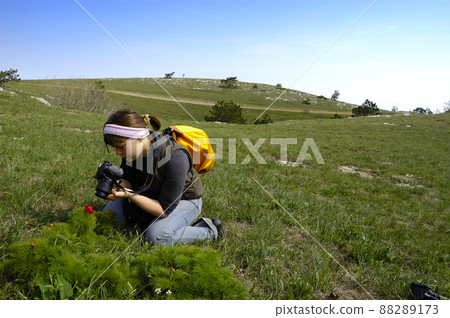 Woman taking photographs of red flowers in a spring garden Woman taking photographs of red flowers in a spring garden 88289173