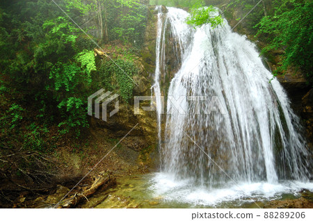 forest waterfall and rocks covered with moss 88289206