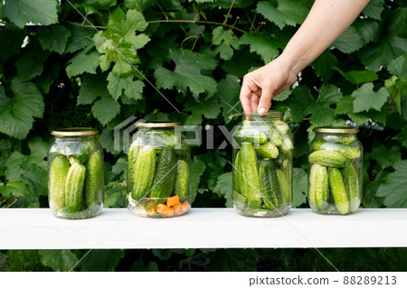 A woman puts cucumbers in a jar for preserving vegetables in a marinade. Four jars of cucumbers and carrots are on the table. Pickled canned vegetables from the garden 88289213