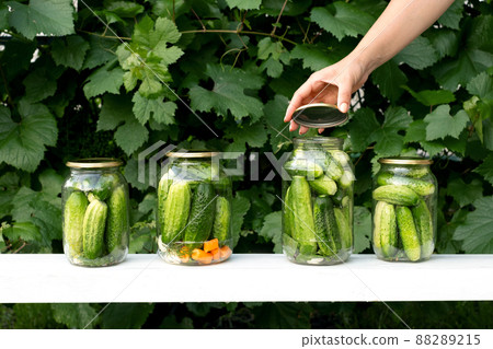 A woman closes a lid on cucumbers in a jar for preserving vegetables in a marinade. Four cans of cucumbers . Pickled canned vegetables A woman closes a lid on cucumbers in a jar for preserving vegetables in a marinade. Four cans of cucumbers . Pickled canned vegetables 88289215