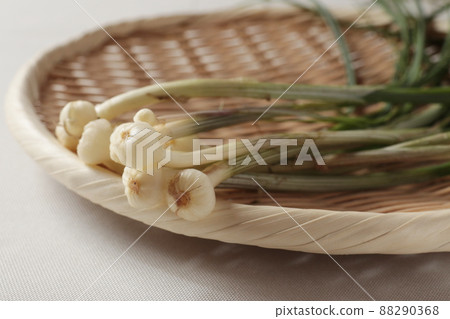 It grows on a colander (spring wildflowers) It grows on a colander (spring wildflowers) 88290368