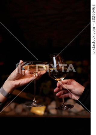 Celebrating with glasses of alcohol in hands. Happy female friends having good time. Celebrating with glasses of alcohol in hands. Happy female friends having good time. 88290468
