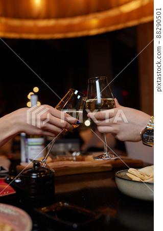 Celebrating with glasses of alcohol in hands. Happy female friends having good time. Celebrating with glasses of alcohol in hands. Happy female friends having good time. 88290501