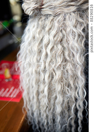 Afro pigtails Dreadlocks African pigtails on a white background weaves a master hairdresser in the salon. 88290816