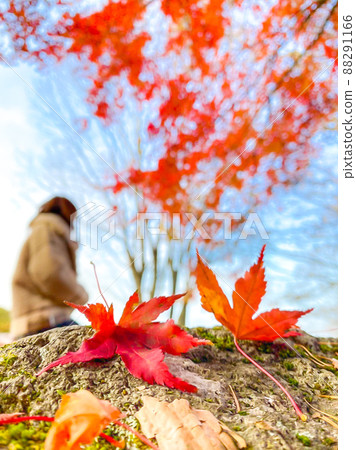 End of autumn End of autumn 88291166