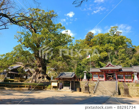 鴨毛的奧須（國家特別天然紀念物）估計樹齡 1500 年，日本最大的巨樹，鹿兒島縣鴨毛町 88291734