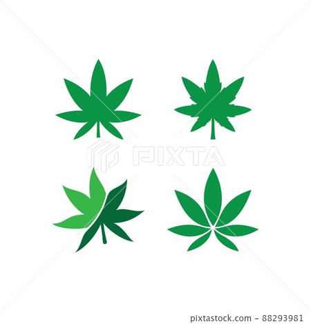 canabis leaf logo canabis leaf logo 88293981