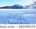 Frost flowers of Lake Akan and Mt. Oakan 88294029