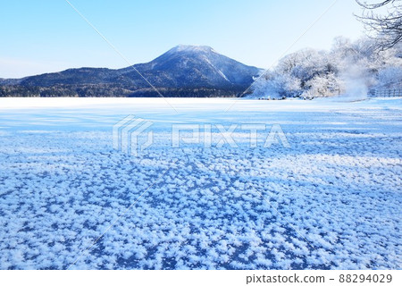 Frost flowers of Lake Akan and Mt. Oakan 88294029